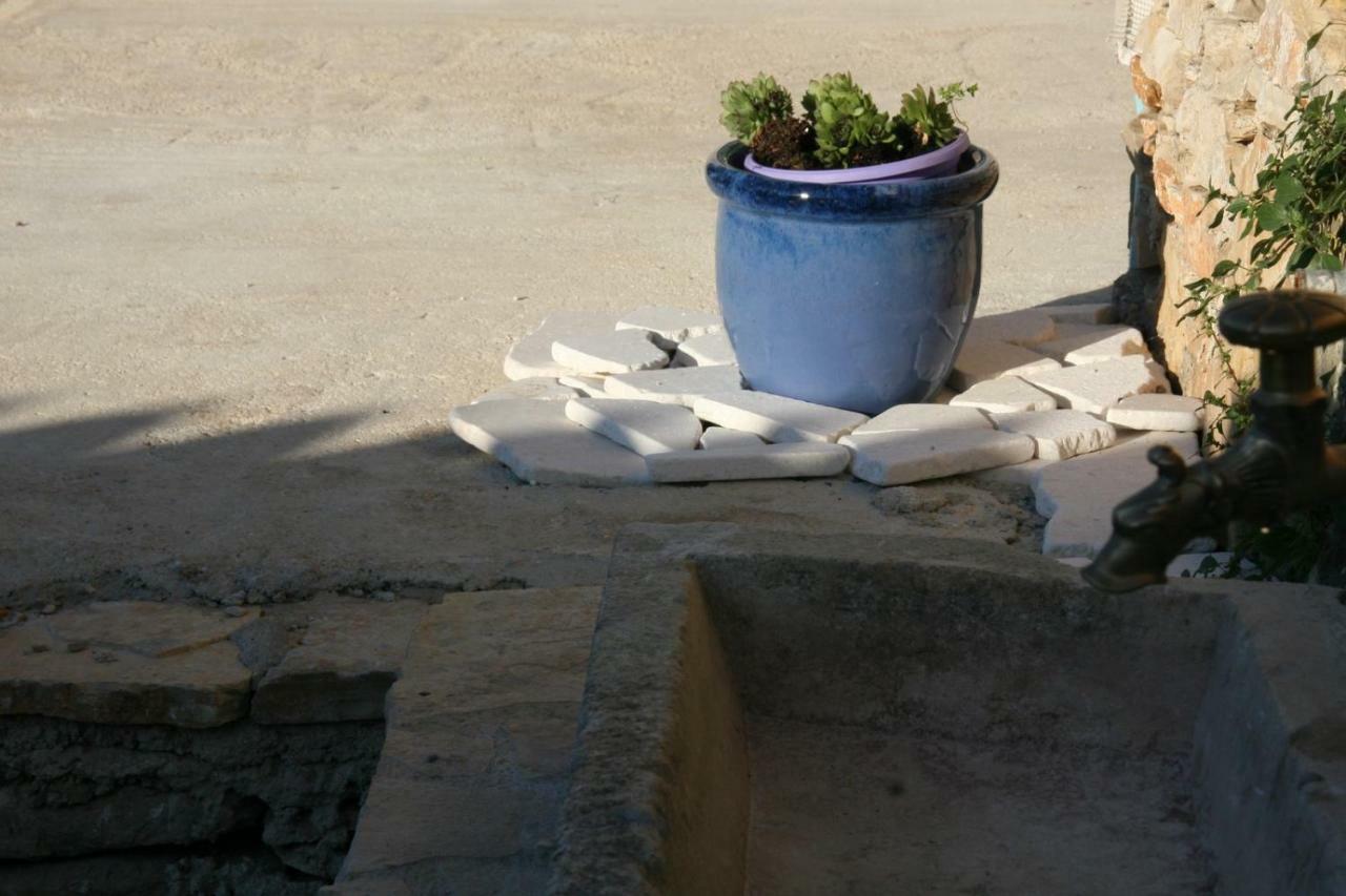 Sena * Pula